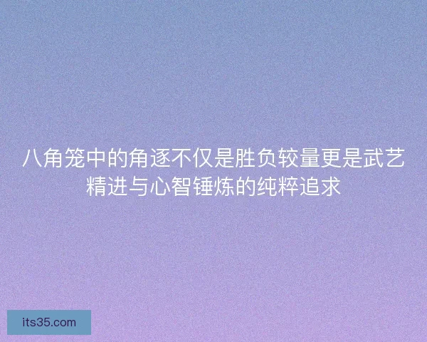 八角笼中的角逐不仅是胜负较量更是武艺精进与心智锤炼的纯粹追求 八角笼中的角逐不仅是胜负较量更是武艺精进与心智锤炼的纯粹追求